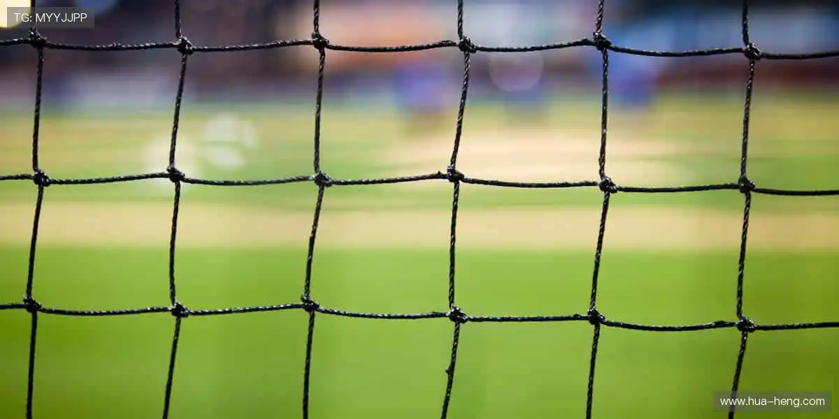 🎧 沉浸式观赛，让呐喊声穿透屏幕！